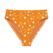 Load image into Gallery viewer, Snowy Spring