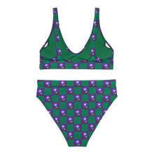 Load image into Gallery viewer, Picking Flowers at Midnight